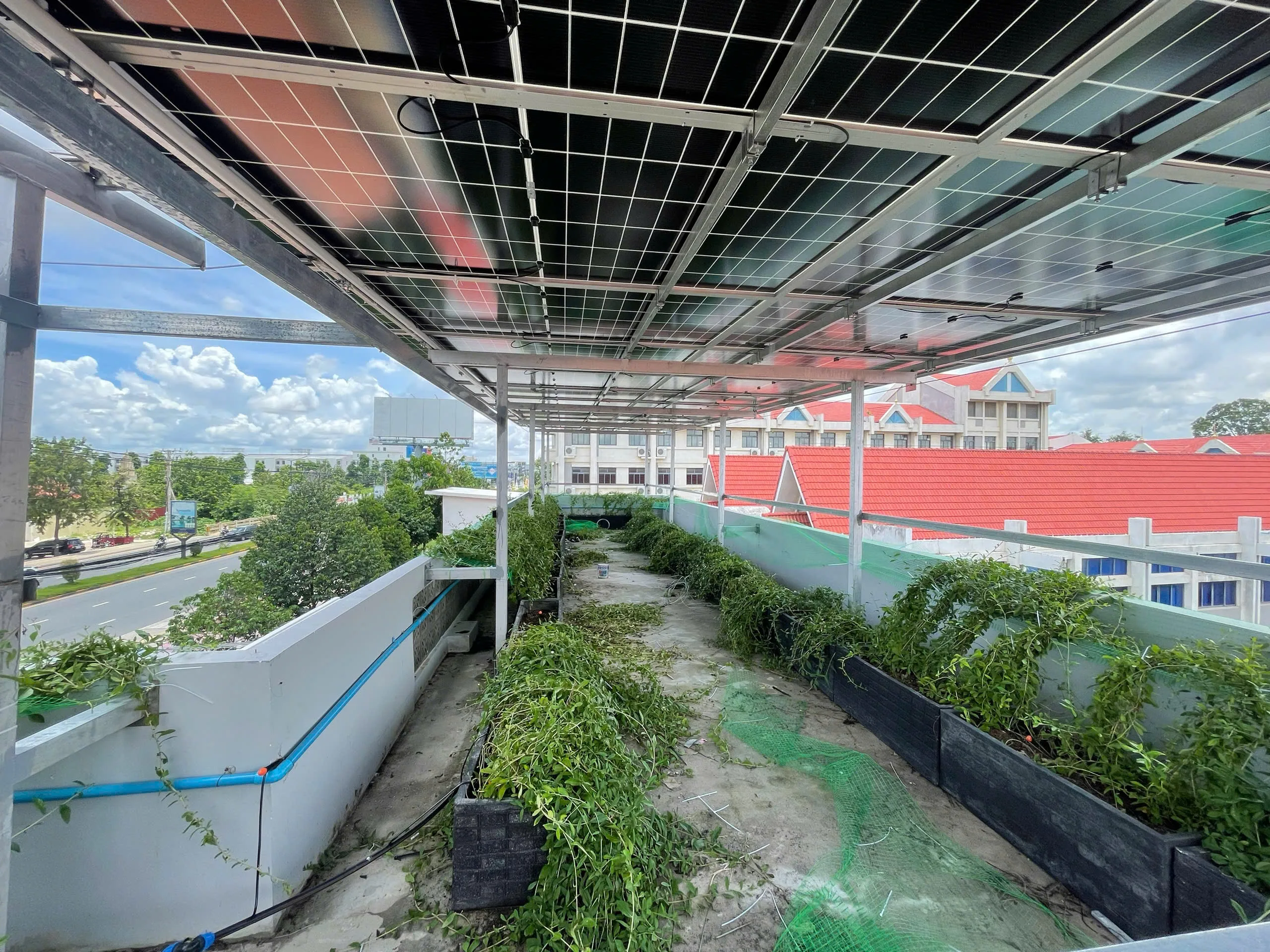 Công trình điện mặt trời — Campuchia — ảnh 7